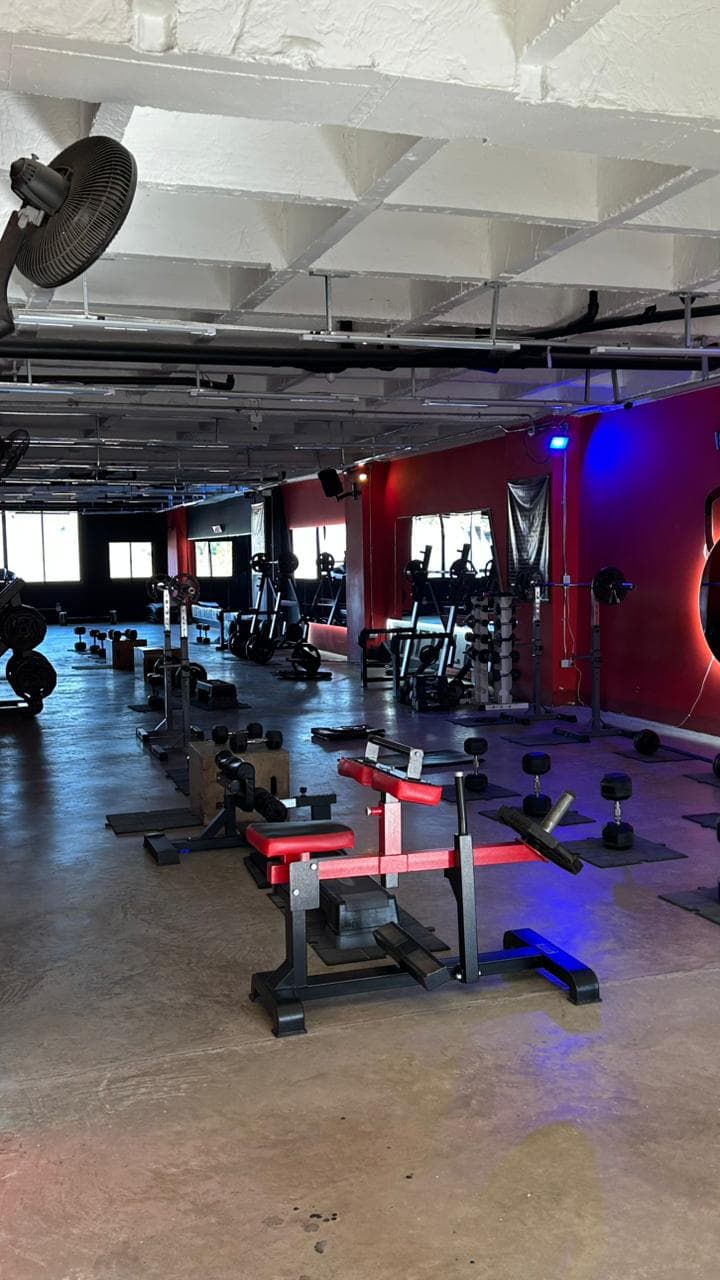 Sala de musculación de Energim con máquinas, pesas y mancuernas
